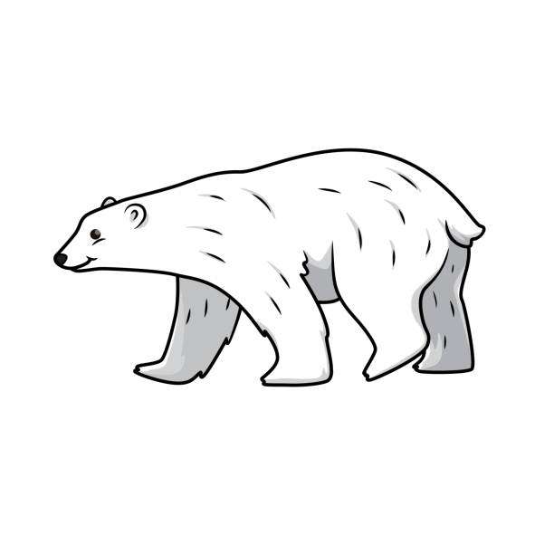 Niedźwiedź polarny puzzle online ze zdjęcia