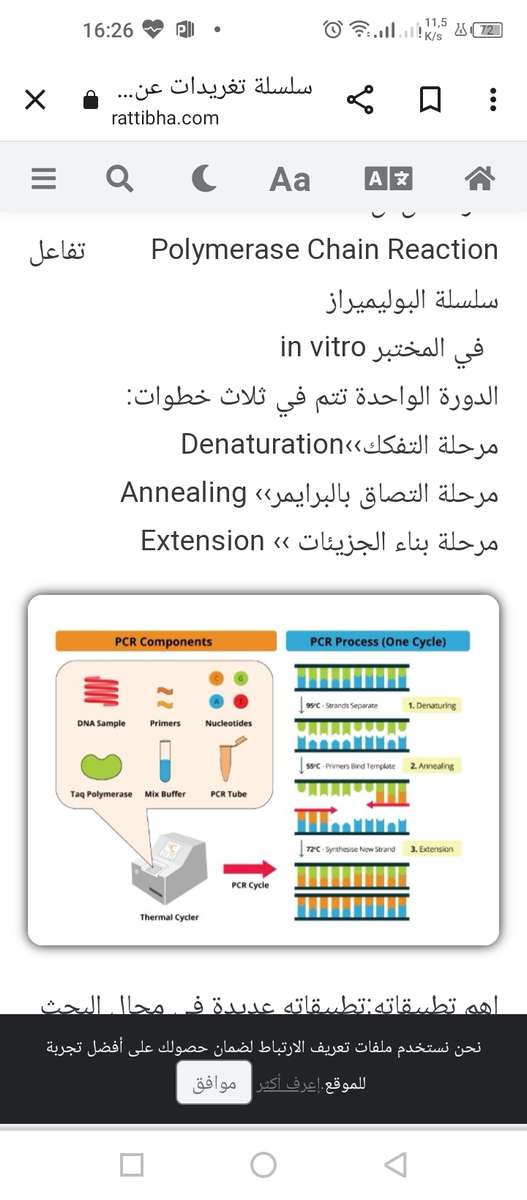 مراحل الهندسة الجينية puzzle online