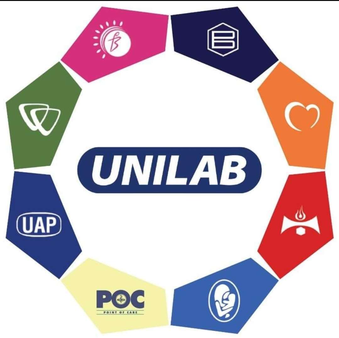 Logo Unilaba puzzle online