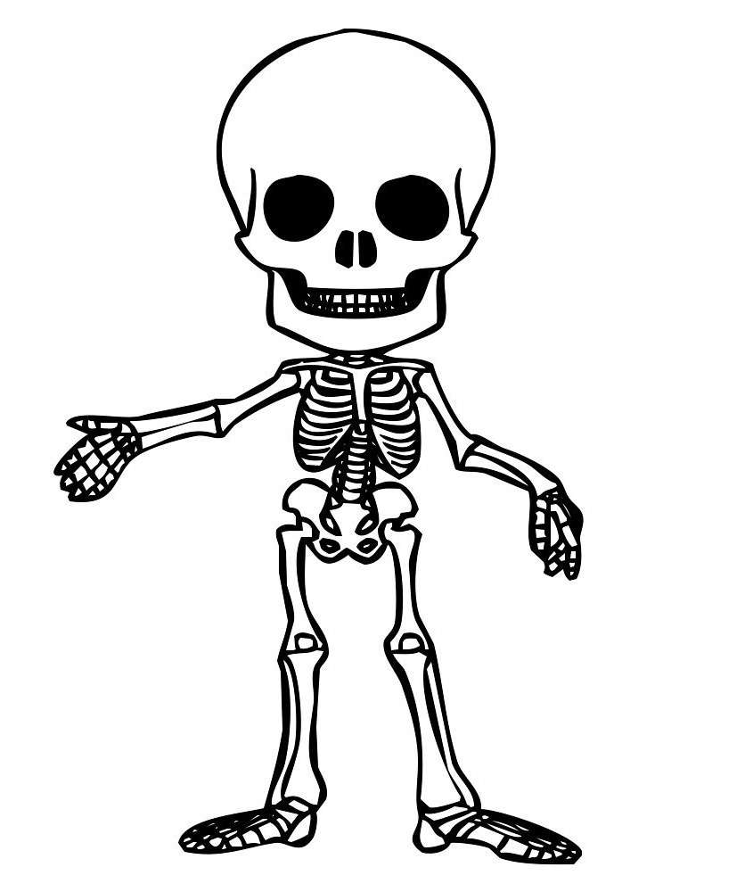 szkielet człowieka puzzle online ze zdjęcia