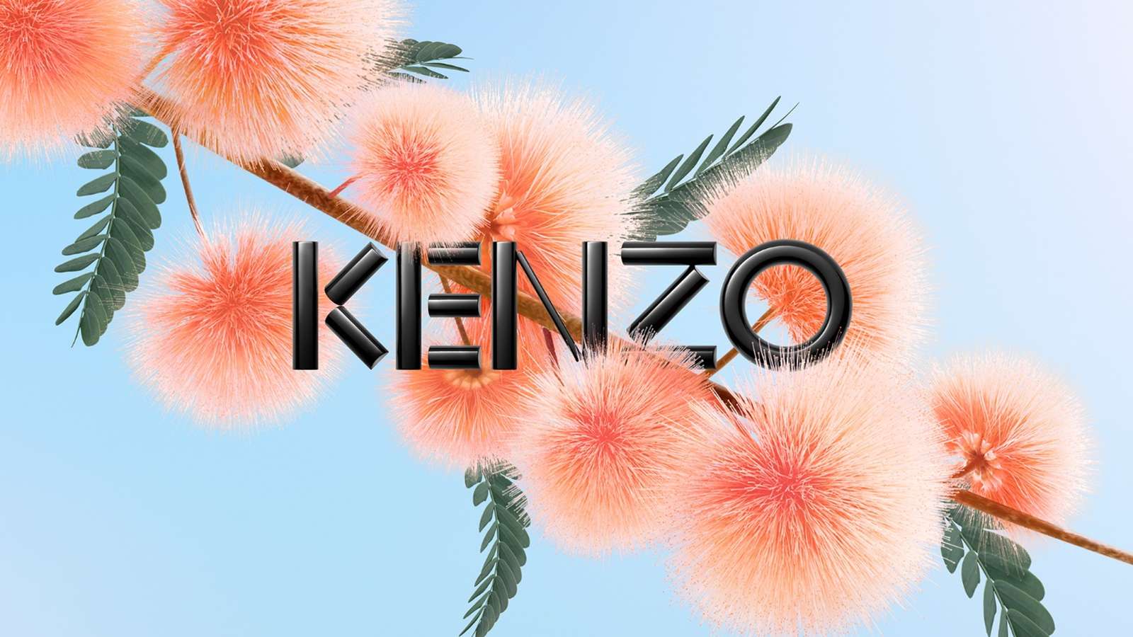 mimoza ikebana puzzle online