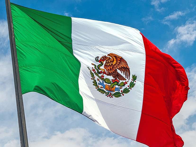 Bandera Meksyk puzzle online ze zdjęcia