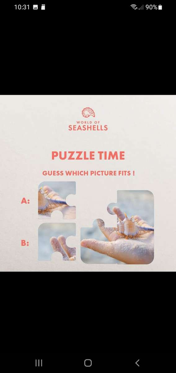 Muszle puzzle online