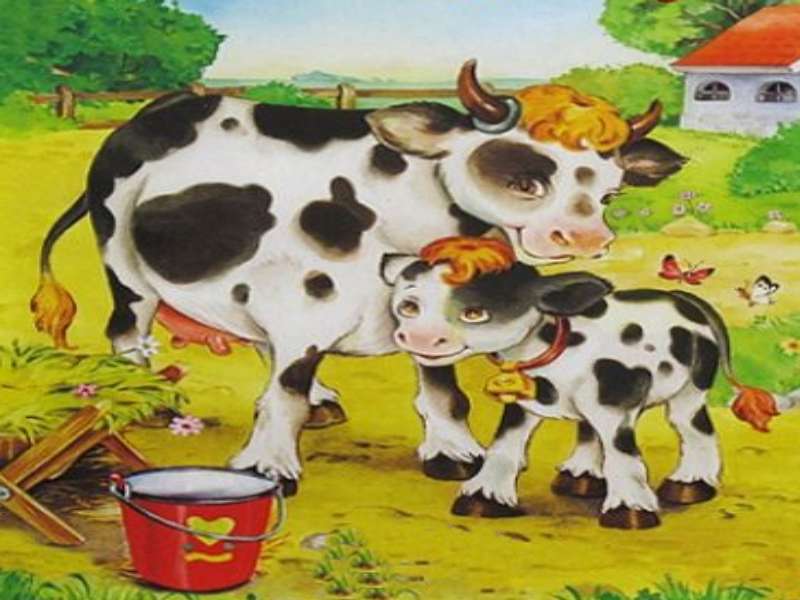 Krava i tele puzzle online ze zdjęcia