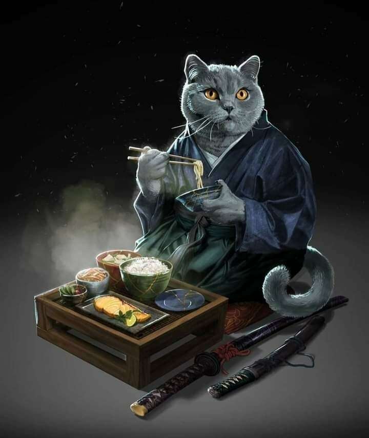 Kot-Fu Kitty puzzle online ze zdjęcia