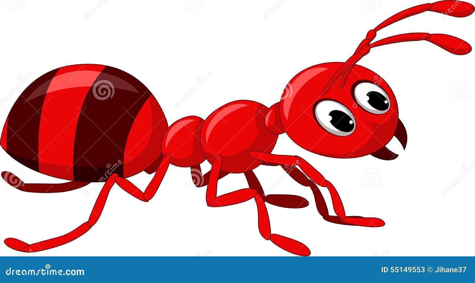 animacja mrówka puzzle online
