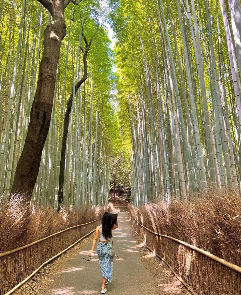 Natura Japonii puzzle online ze zdjęcia