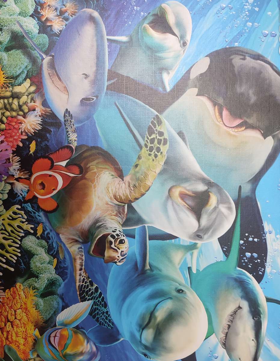 Tropikalna ryba puzzle online ze zdjęcia