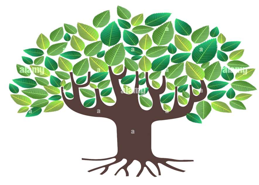 drzewo rodzinne puzzle online