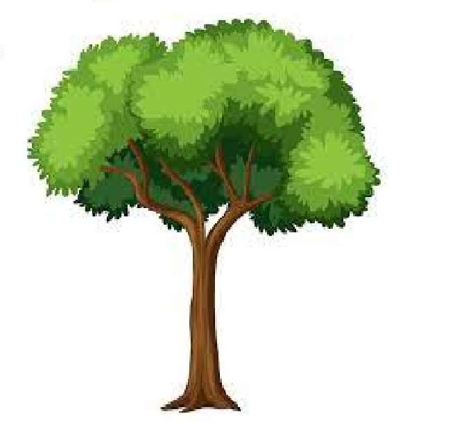Drzewo piekielne, proszę o rozwiązanie puzzle online ze zdjęcia