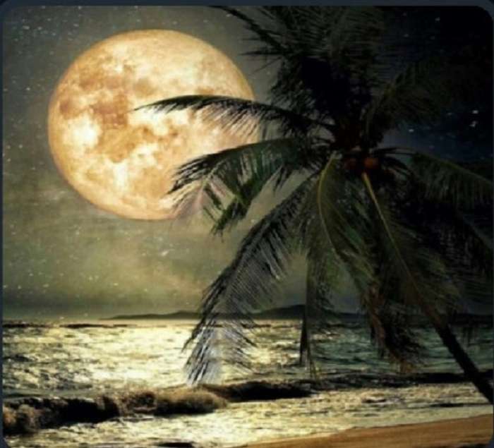 Księżyc i plaża puzzle online