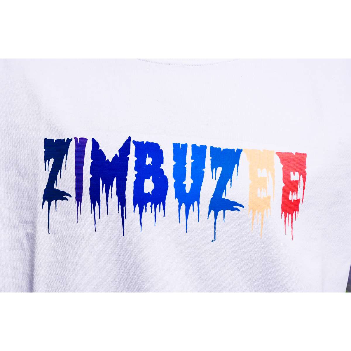 ZIMBUS puzzle online