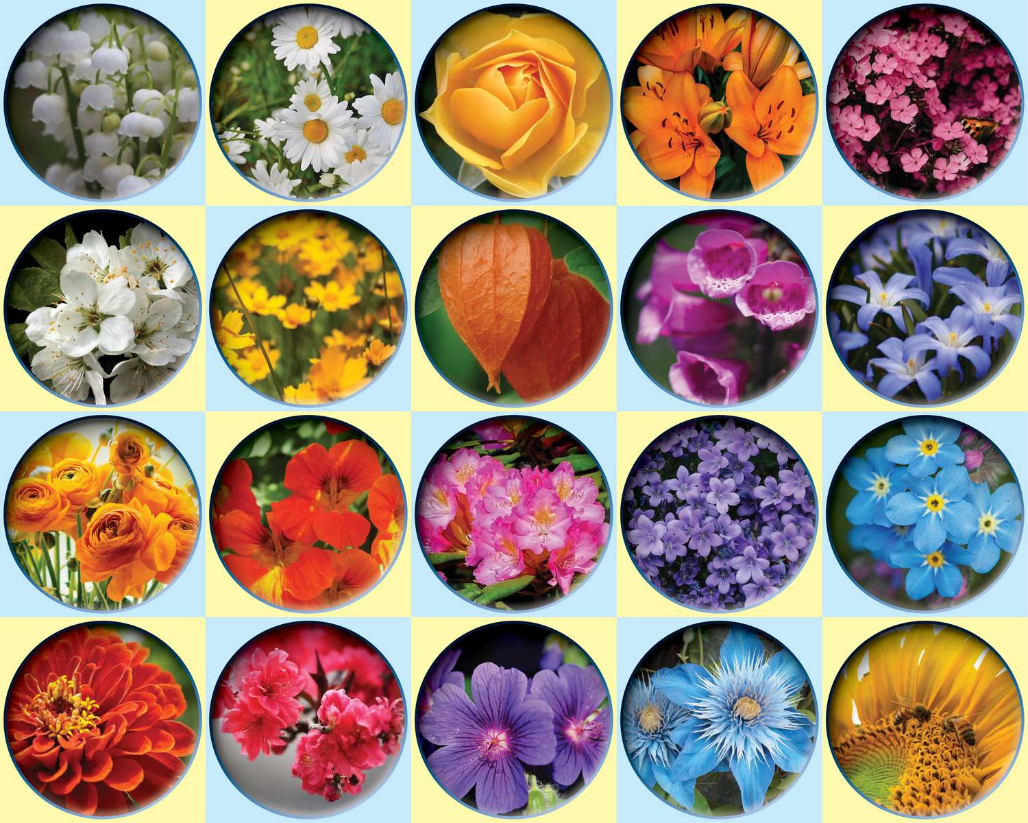 różnokolorowe kwiaty puzzle online ze zdjęcia