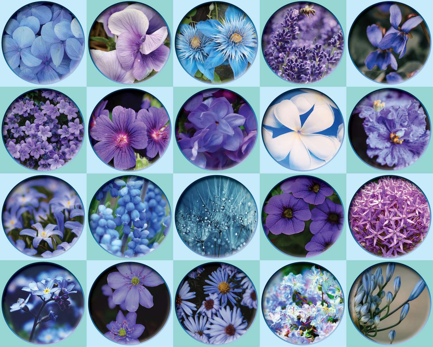 fioletowe kwiaty puzzle online ze zdjęcia
