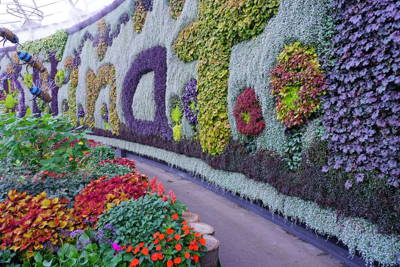 Ściana Kwiatów puzzle online ze zdjęcia