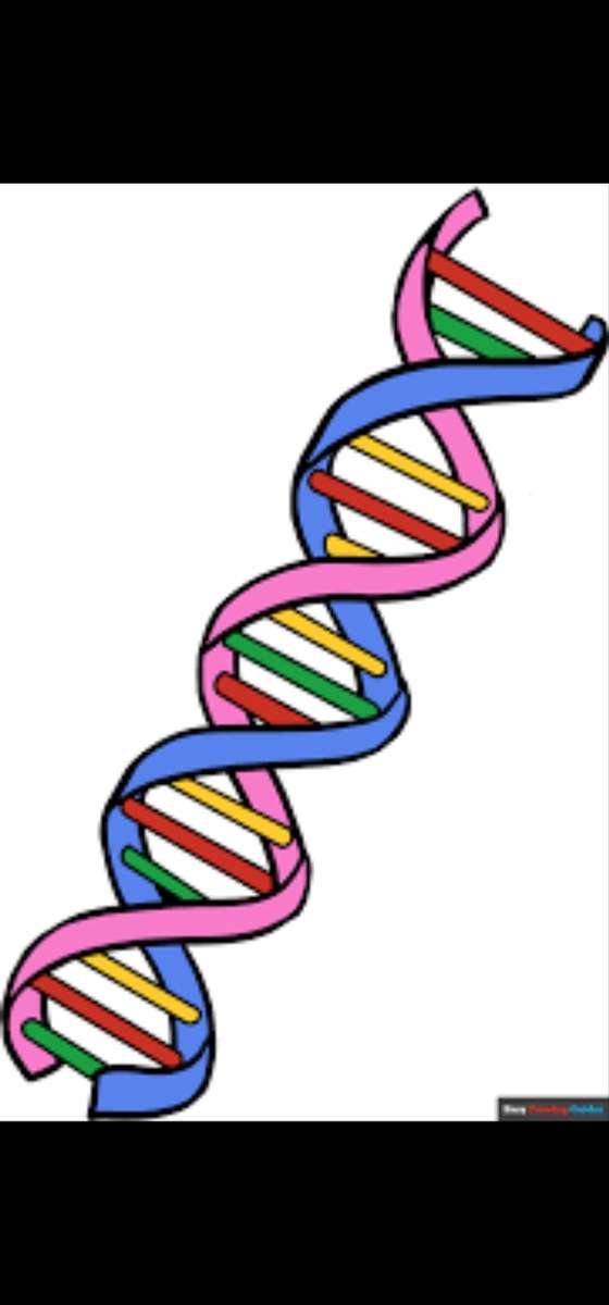 Struktura DNA puzzle online