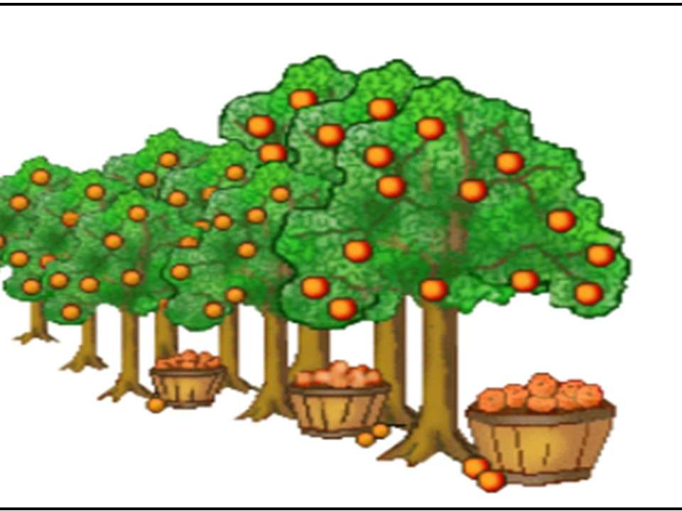 pomarańcza puzzle online ze zdjęcia