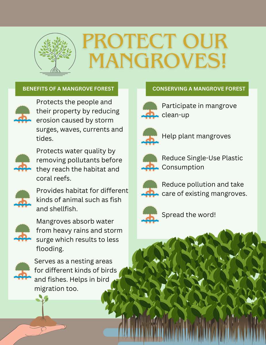 Mangrowe puzzle online
