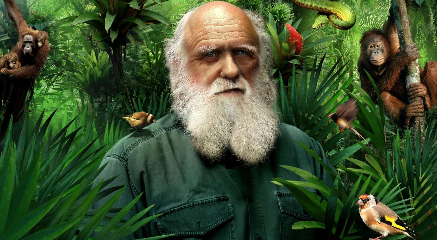 Karol Darwin puzzle online