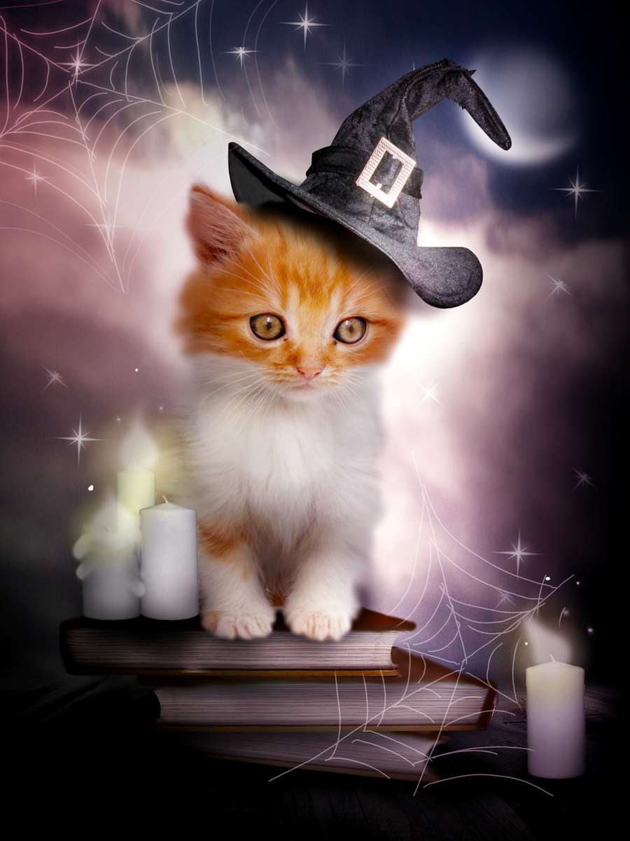 Koty i magia puzzle online ze zdjęcia