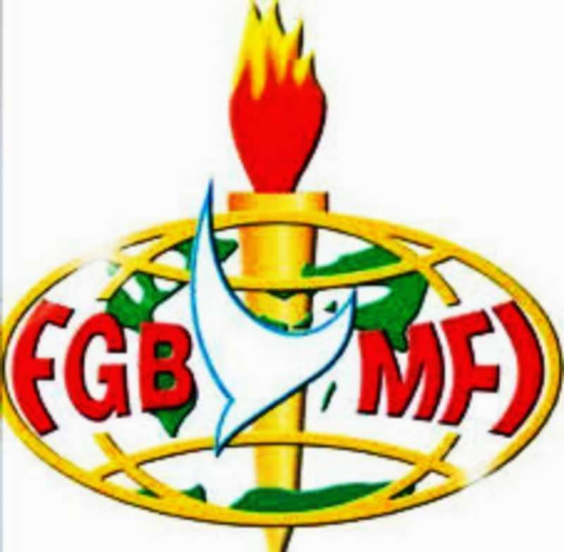 FGBMFI, NG puzzle online