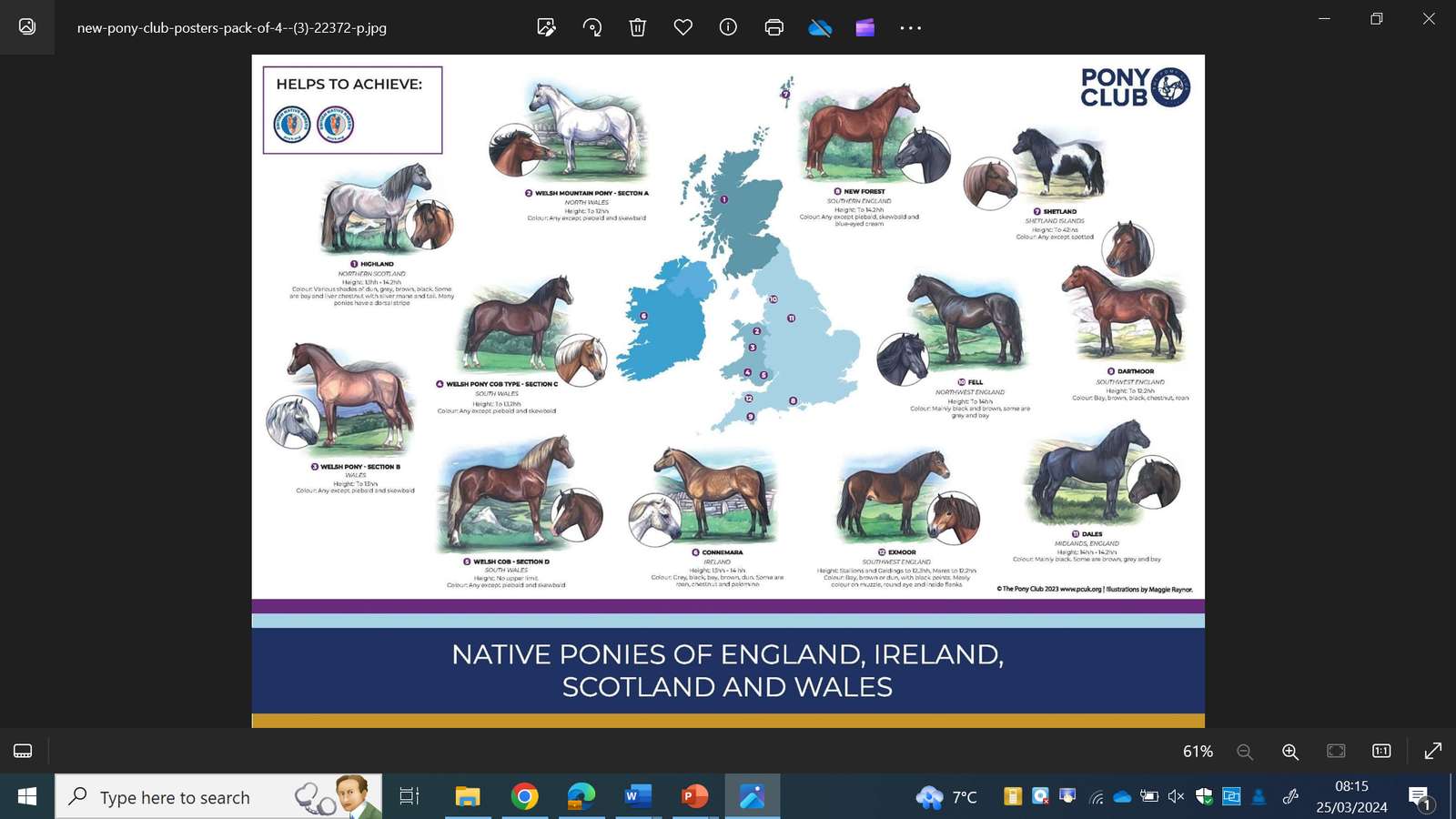konie w Wielkiej Brytanii puzzle online