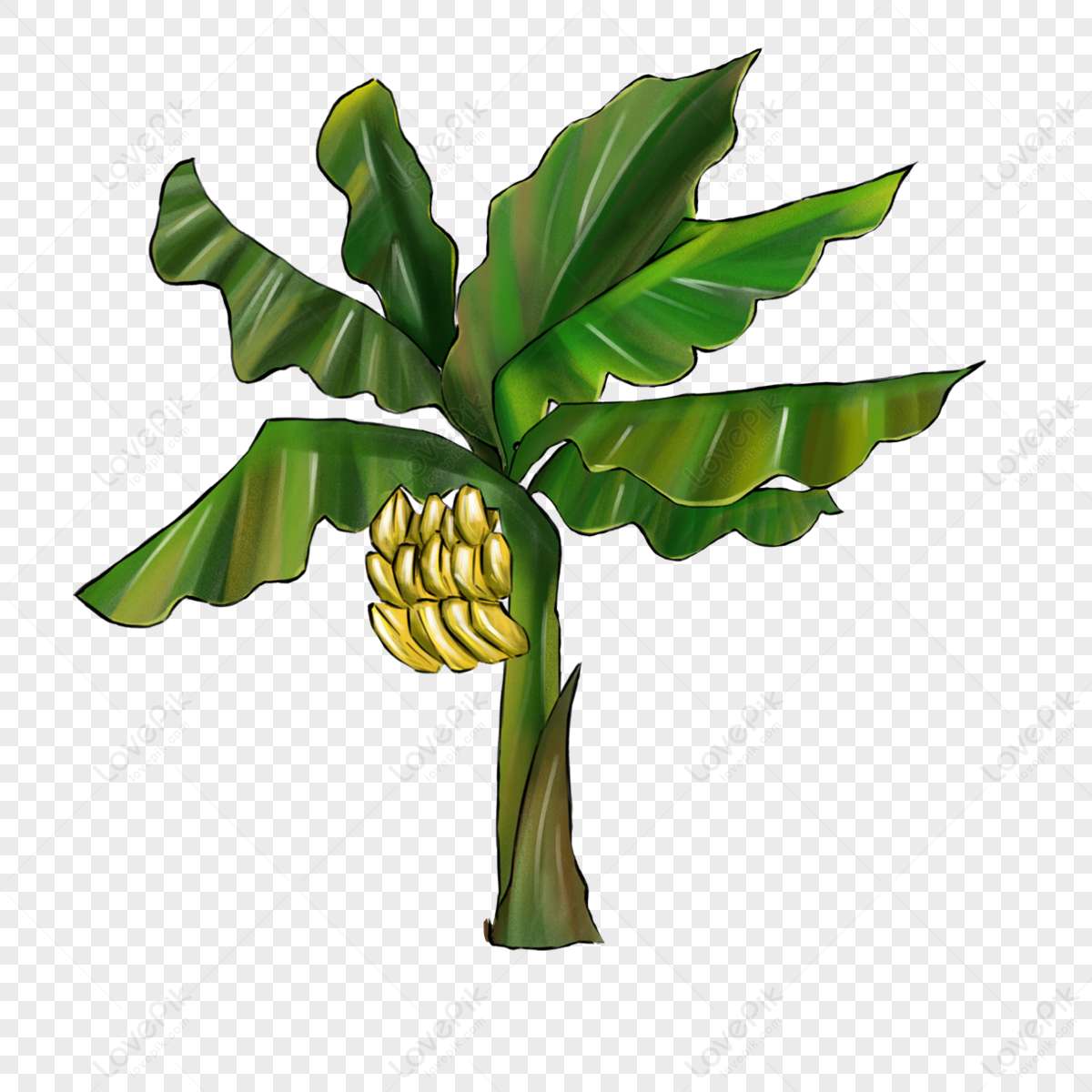 roślina bananowa puzzle online ze zdjęcia