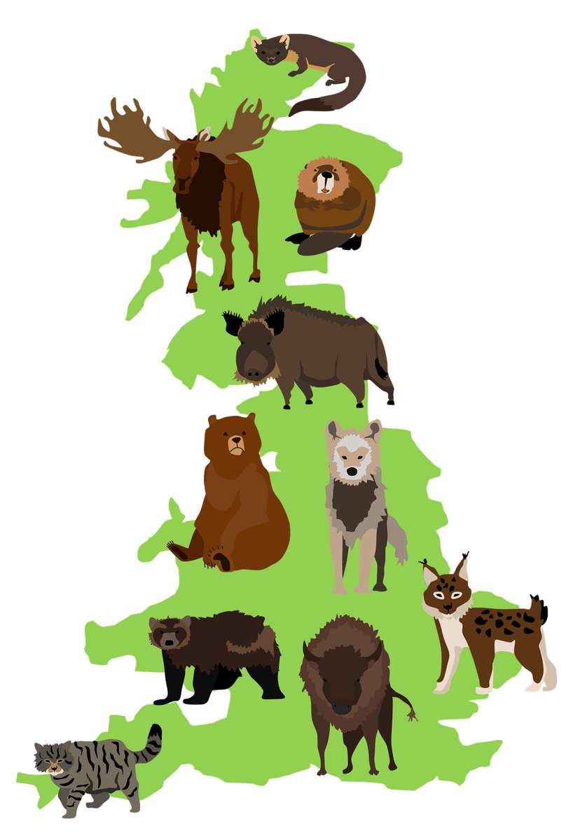 Puzzle z mapą rodzimych gatunków Wielkiej Brytanii puzzle online ze zdjęcia