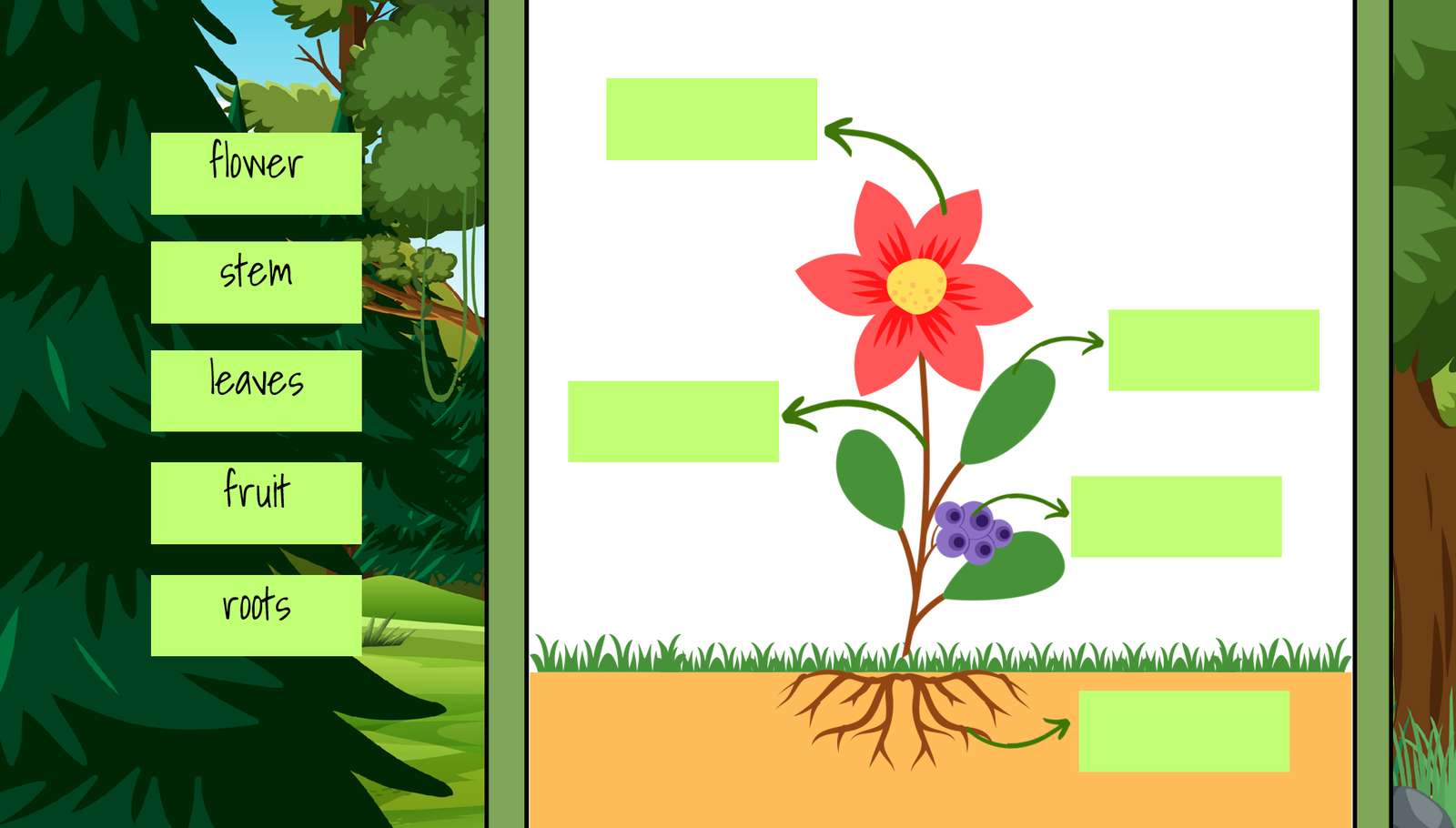 Części roślin puzzle online