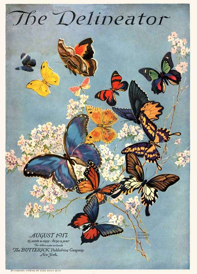 Motyle wyznaczające puzzle online ze zdjęcia