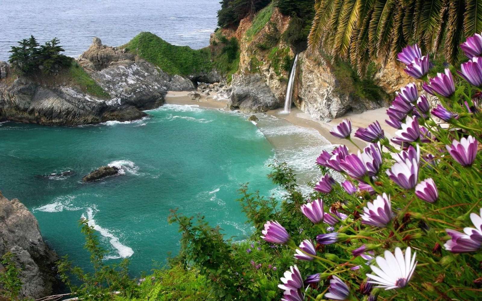 Fioletowe Kwiaty Oceanu puzzle online ze zdjęcia