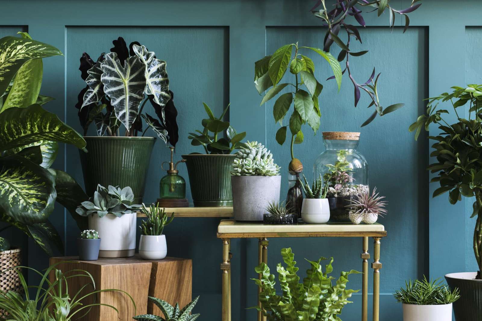 Niebieski pokój i rośliny puzzle online