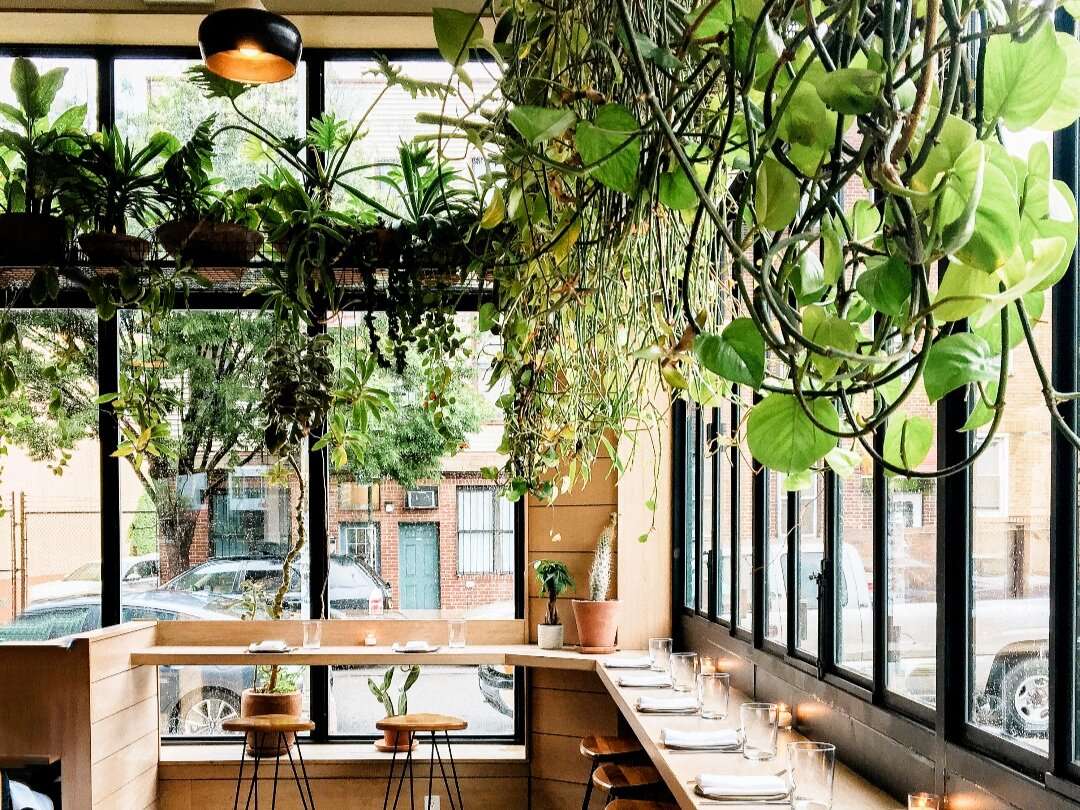 Rośliny w restauracji puzzle online ze zdjęcia