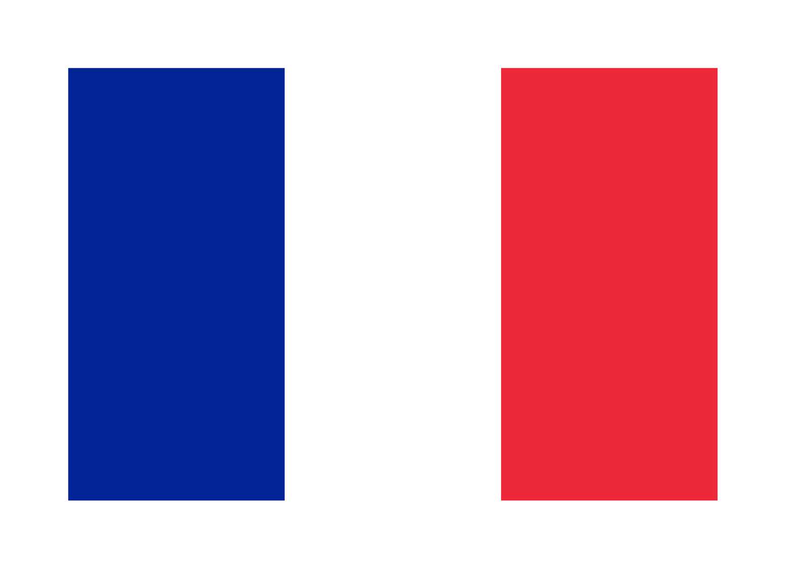 flaga Francji puzzle online