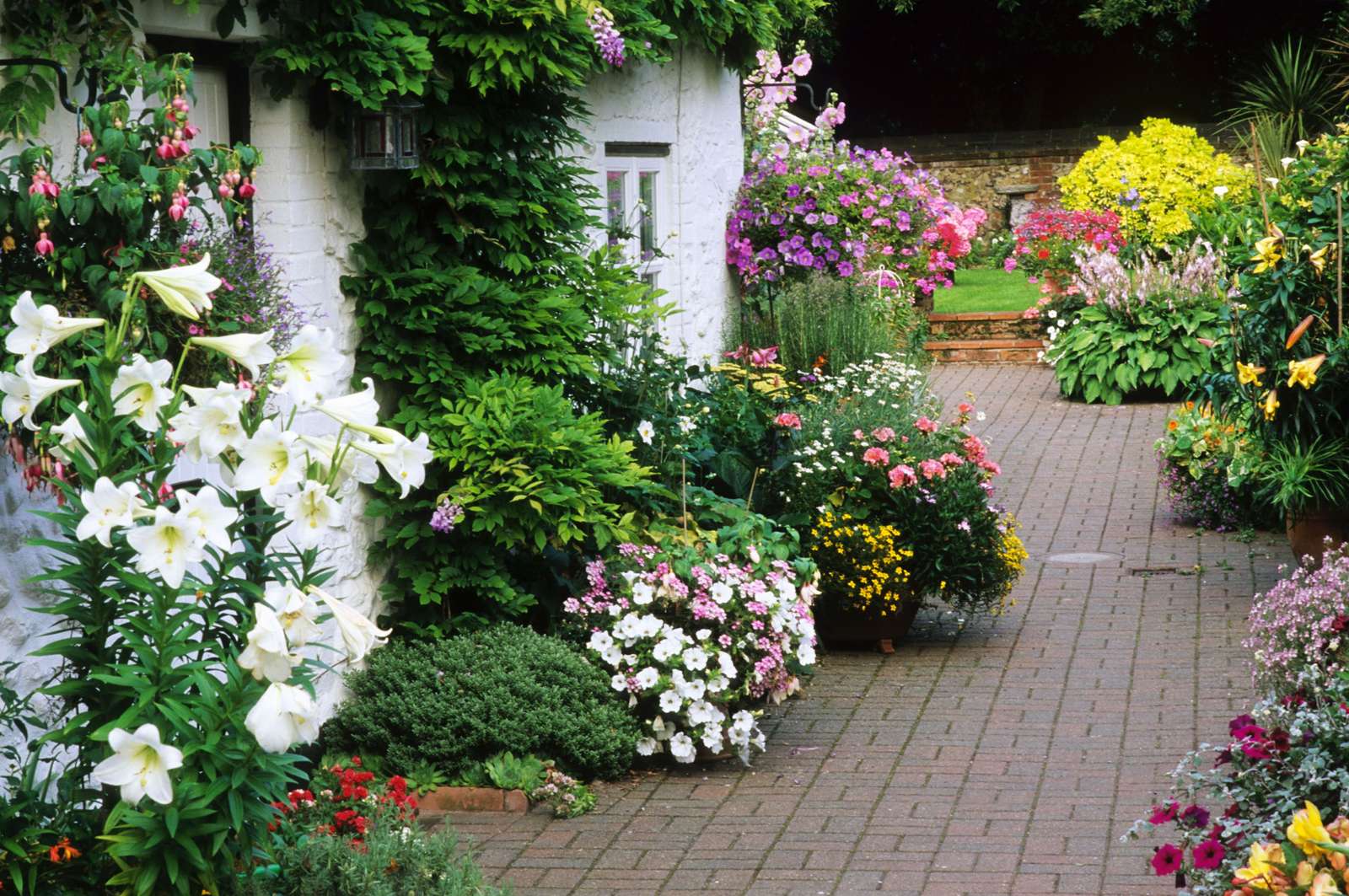 Kwiaty i rośliny puzzle online ze zdjęcia