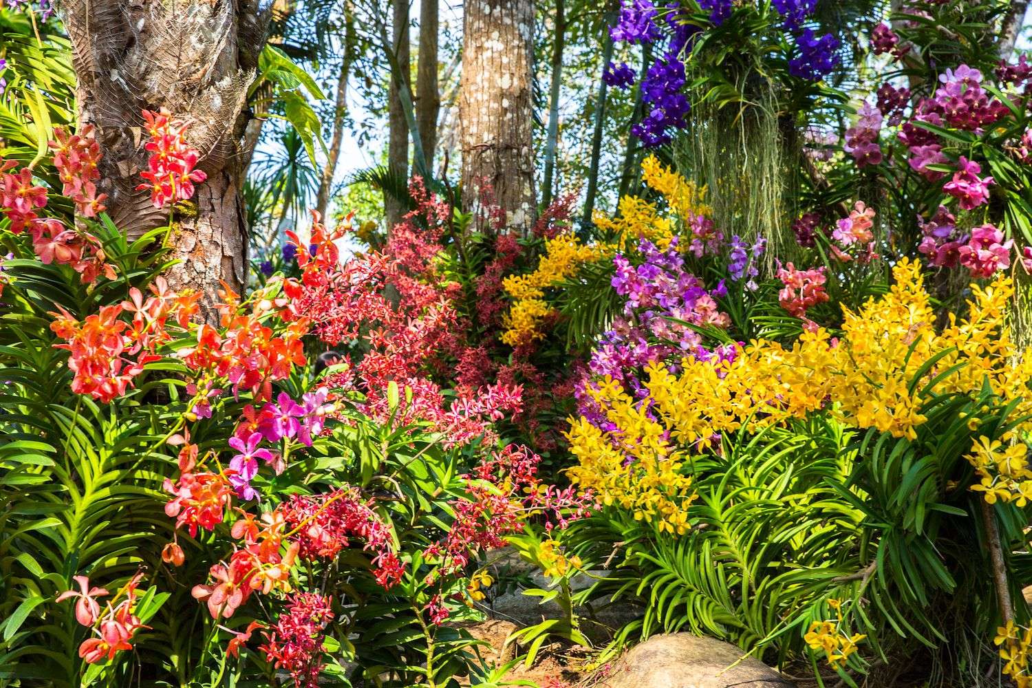 Kwiaty w lesie puzzle online