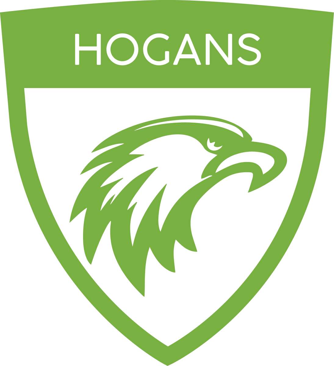 zagadka Hogana puzzle online