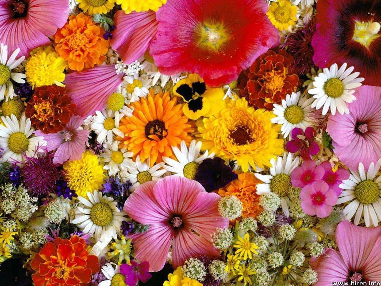 Kwiaty W Rozkwicie puzzle online ze zdjęcia
