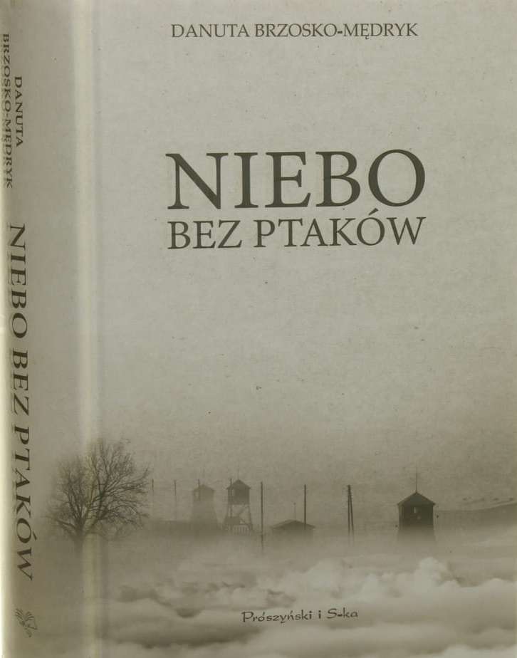 Niebo bez ptaków - Danuta Brzosko-Mędryk puzzle online ze zdjęcia