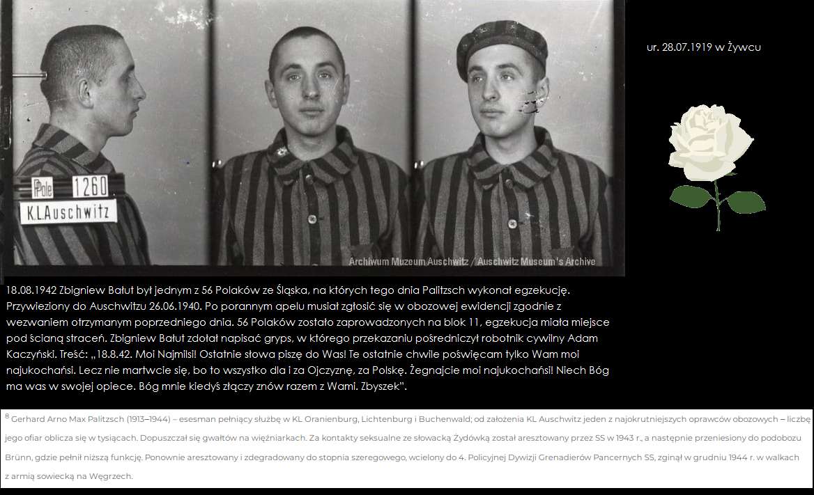 56 Polaków ze Śląska w Auschwitzu puzzle online ze zdjęcia